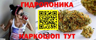 прущие крисы Свободный