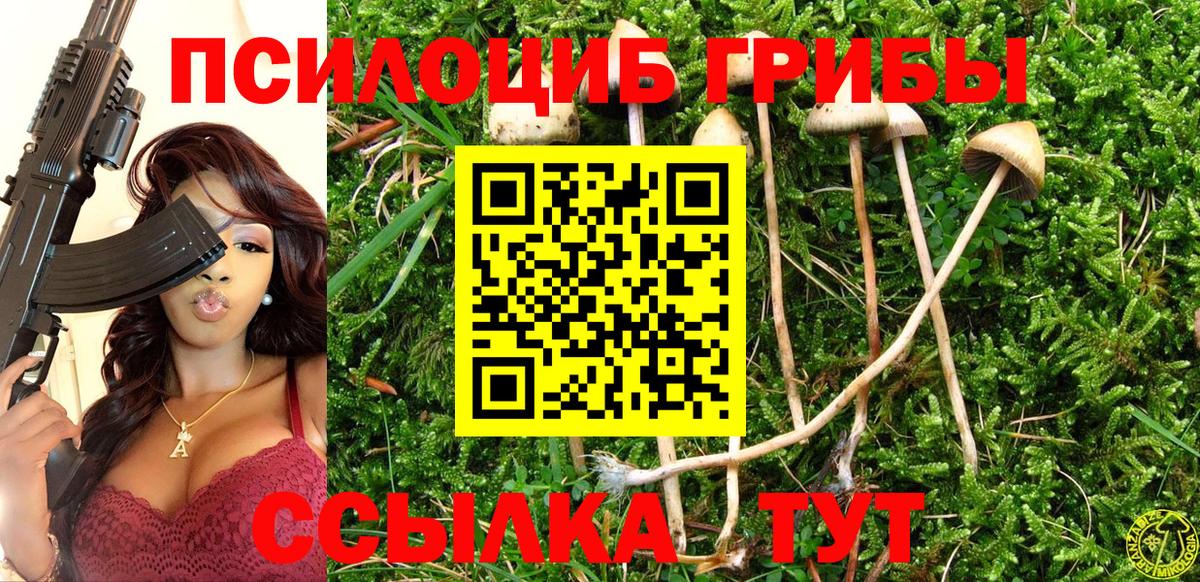 Галлюциногенные грибы прущие грибы  Вход с VPN  Богородицк 
